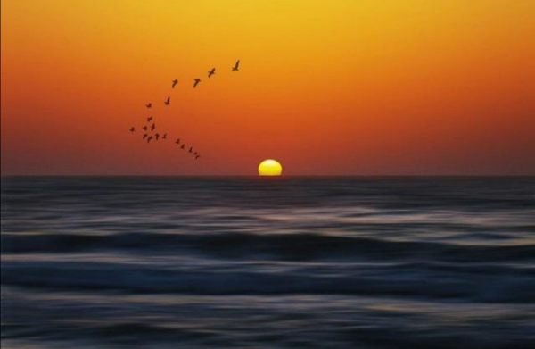 日本计划将核污水排入大海，是否会给其他国家造成影响？