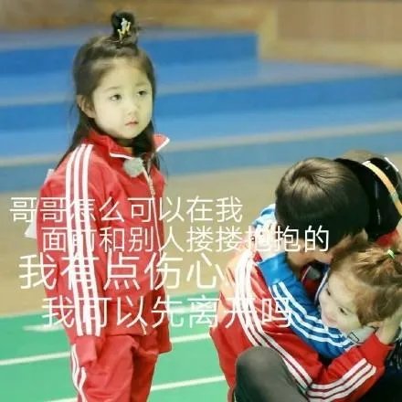 《放开我的北鼻》什么时候开播?