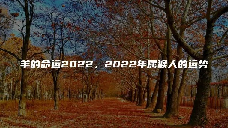 羊的命运2022，2022年属猴人的运势