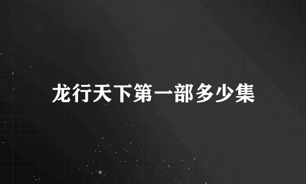 龙行天下第一部多少集