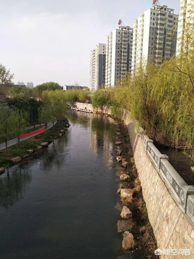 在洛阳二十万能买到个门面房么?