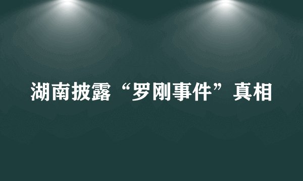 湖南披露“罗刚事件”真相