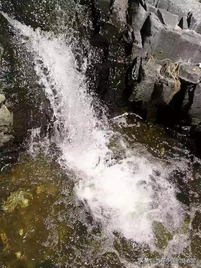 “人民网四问”后，迪士尼硬气回应：“不接受调解、不更改规定”，你怎么看？