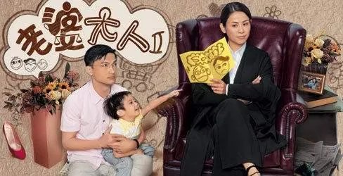 老婆大人2的剧情简介