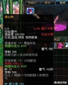 dnf特别宠物礼盒能开到什么dnf特别宠物?