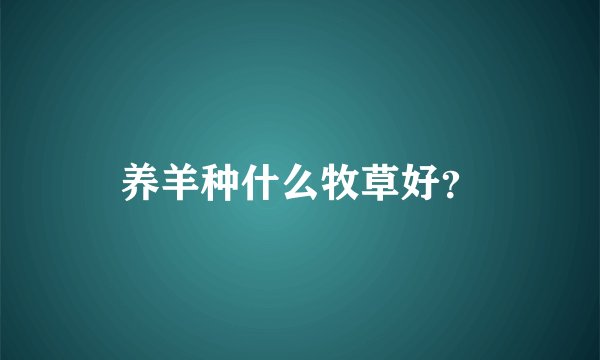 养羊种什么牧草好？