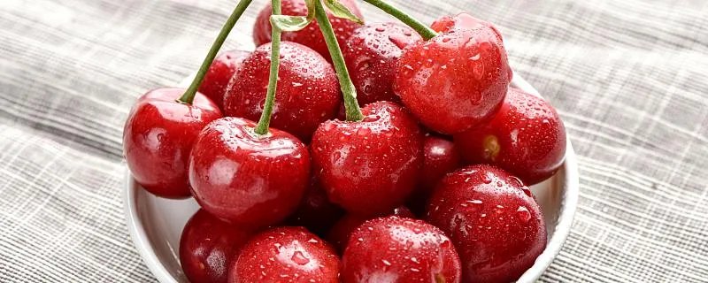 樱桃如何保鲜存放 樱桃怎么保存