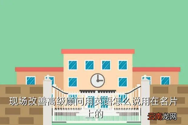 seniorconsultant，高级顾问和资深顾问 英语怎么说
