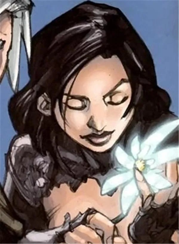 魔兽世界目前有哪些年轻有为的新英雄?