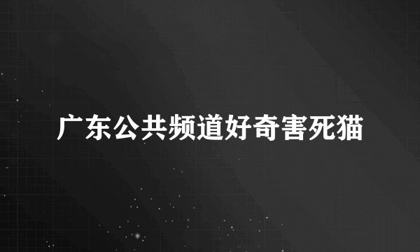 广东公共频道好奇害死猫