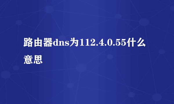路由器dns为112.4.0.55什么意思