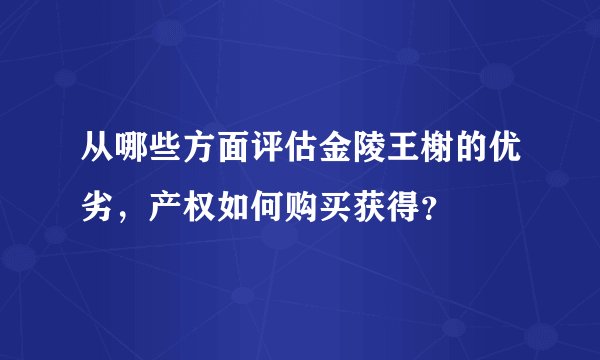 从哪些方面评估金陵王榭的优劣，产权如何购买获得？
