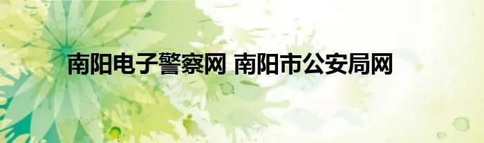 南阳电子警察网 南阳市公安局网