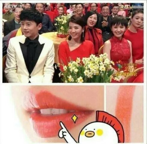 董卿的口红到底是什么牌子的？