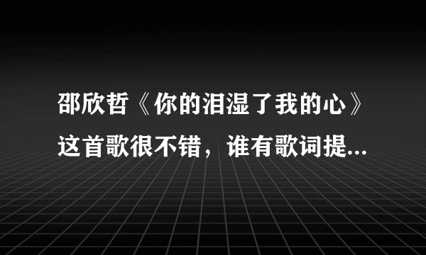 邵欣哲《你的泪湿了我的心》这首歌很不错，谁有歌词提供我下，谢谢!