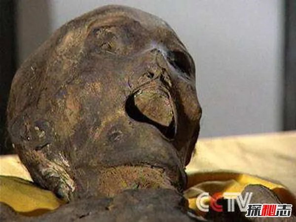 走近科学最恐怖的一期 揭秘三百年干尸复活之谜