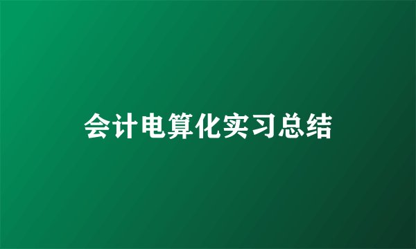 会计电算化实习总结