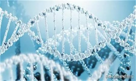 地球演化中有哪些超乎人想象的现象?