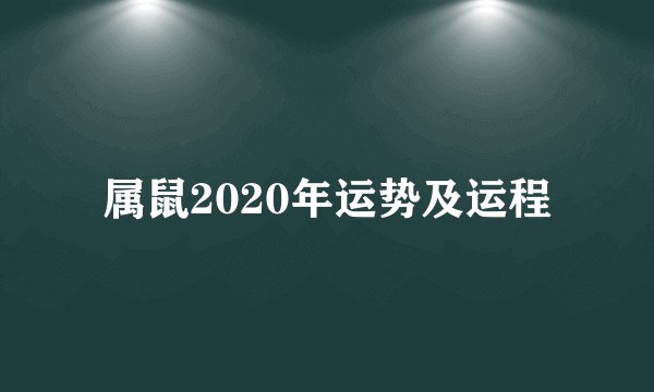 属鼠2020年运势及运程