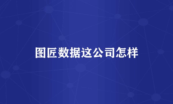 图匠数据这公司怎样