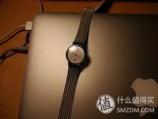 北欧风情 SKAGEN 诗格恩 女式腕表 355SSS1