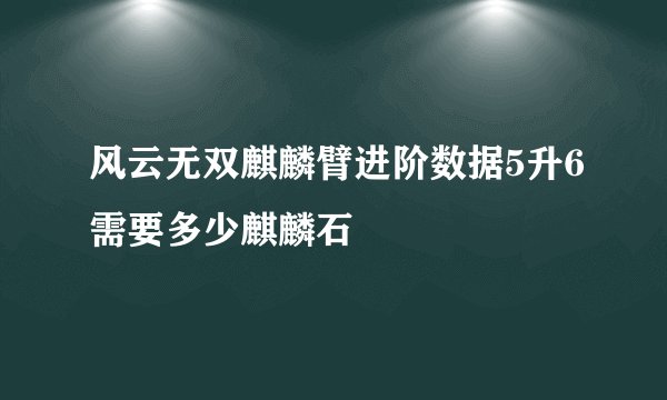 风云无双麒麟臂进阶数据5升6需要多少麒麟石