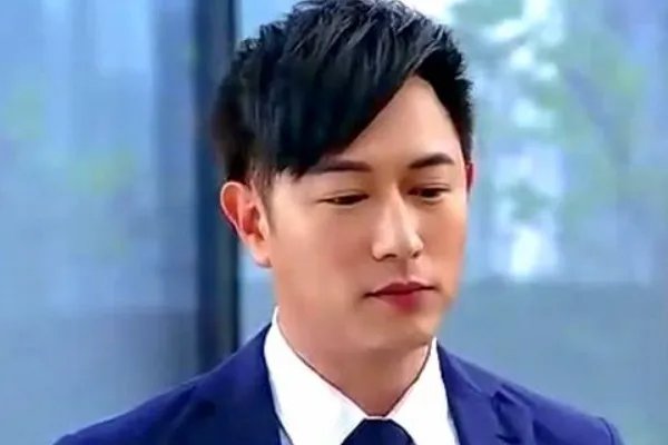 陈键锋主演的电视剧