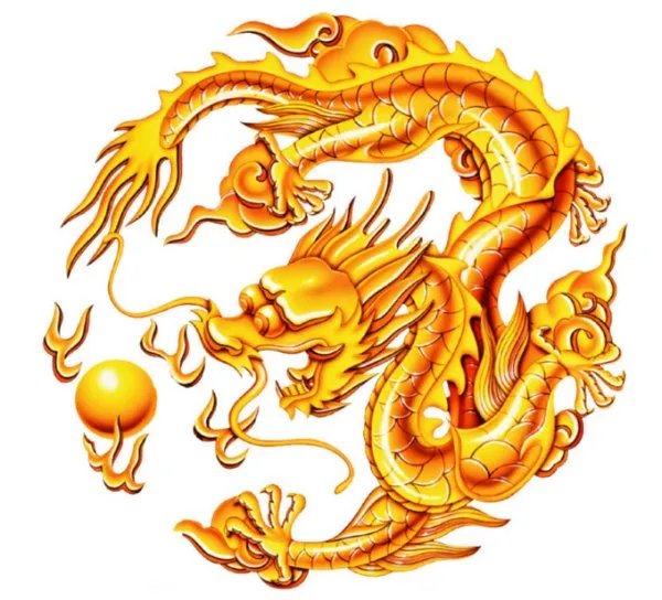 中华龙族有什么？