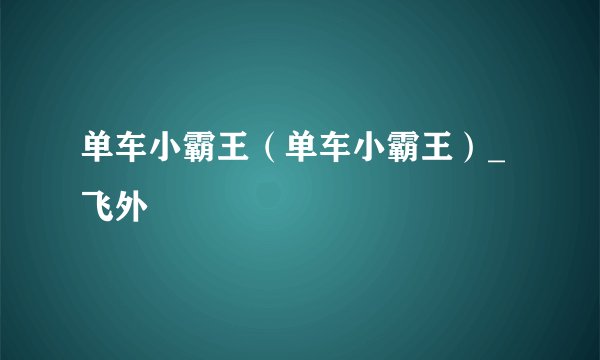 单车小霸王（单车小霸王）_飞外