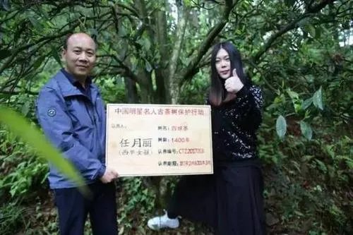 当年西单女孩上春晚火了一段时间后为什么会销声匿迹？