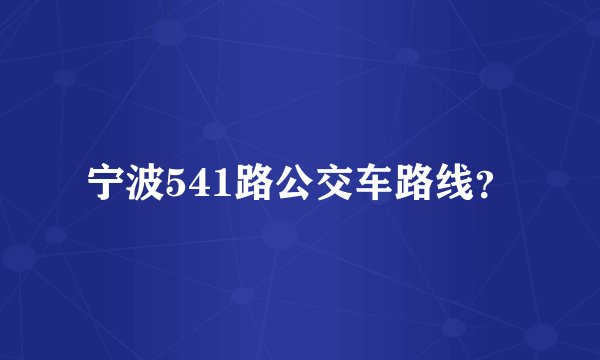 宁波541路公交车路线？