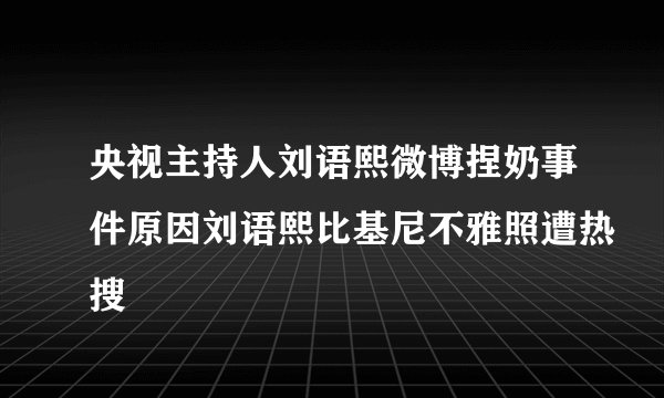 央视主持人刘语熙微博捏奶事件原因刘语熙比基尼不雅照遭热搜