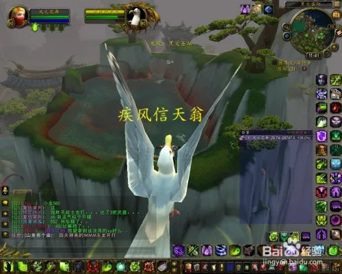 永恒岛疾风信天翁在哪里