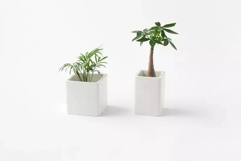 Nendo 3月新品-宠物狗用品系列
