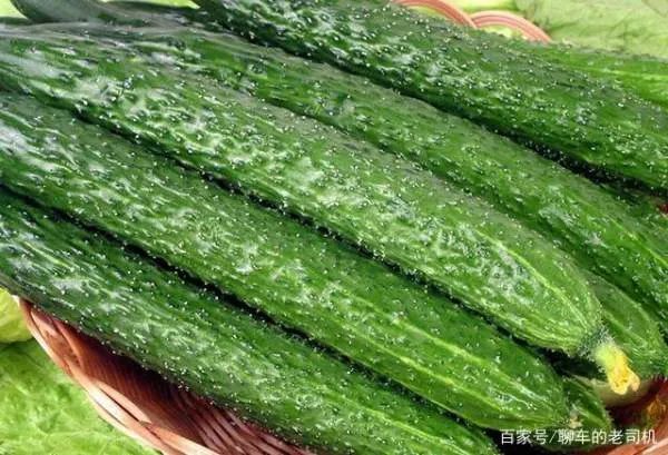 黄瓜红粉病发病的防治措施有哪些？哪种比较好呢？