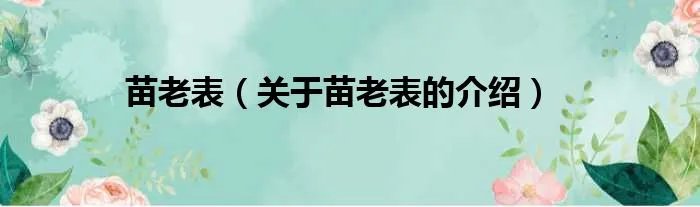 苗老表(关于苗老表的介绍)