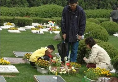 清明节的主要习俗内容有什么