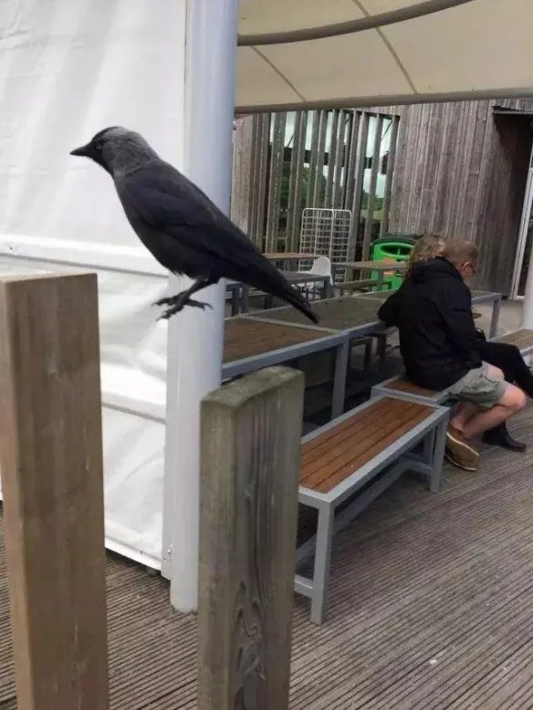 热带雨林惊现鲸鱼尸骨!27张千年一遇的神奇巧合照片