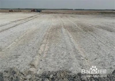 盐碱地改良方法