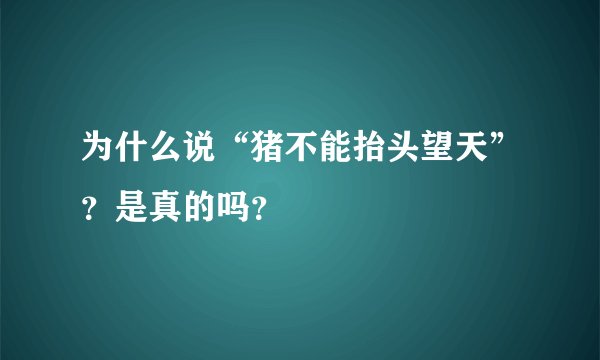为什么说“猪不能抬头望天”?是真的吗?
