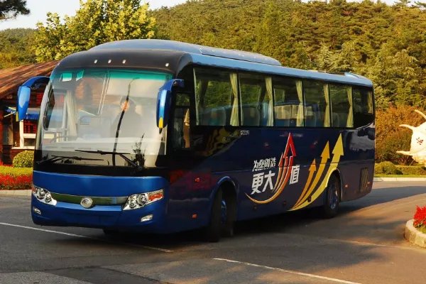 青岛宰客很厉害啊