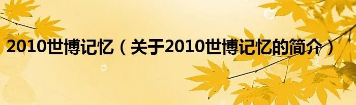 2010世博记忆（关于2010世博记忆的简介）
