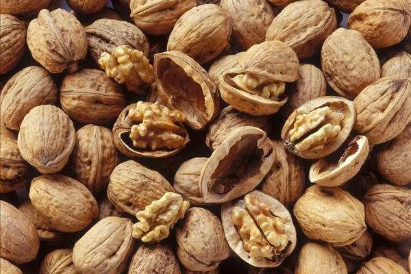 常吃干果对身体有哪些功效