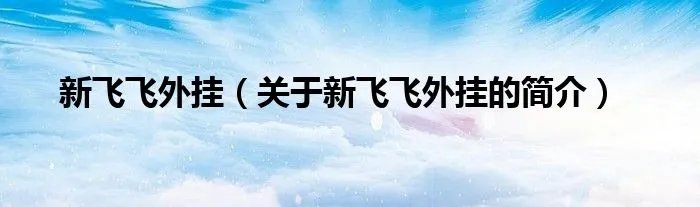 新飞飞外挂（关于新飞飞外挂的简介）