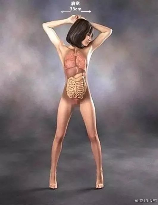 真正的大宝剑！女子持40米长刀砍人 真相令人细思恐极