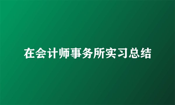 在会计师事务所实习总结