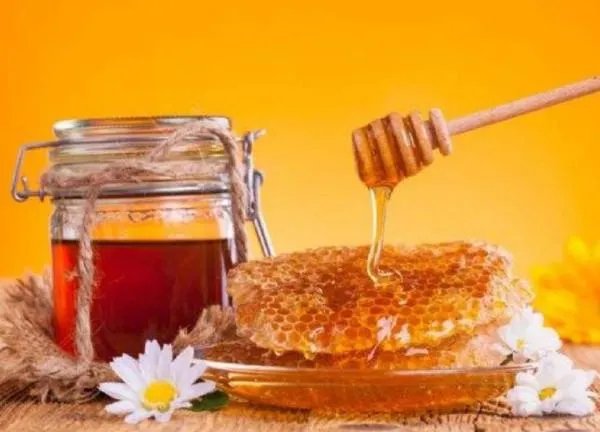 真正的土蜂蜜多少钱一斤