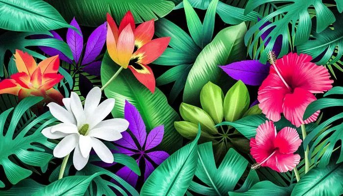 植物也怕痒哪种植物被称为痒痒树 痒痒树的学名叫什么