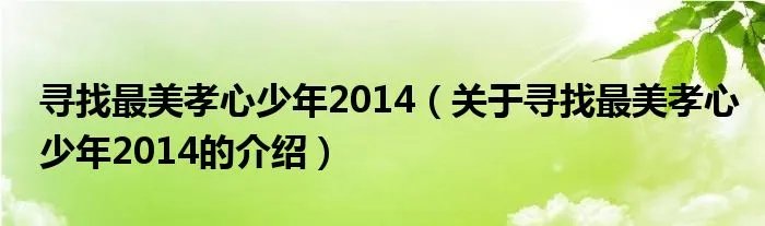 寻找最美孝心少年2014(关于寻找最美孝心少年2014的介绍)