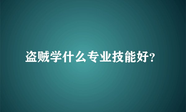盗贼学什么专业技能好？
